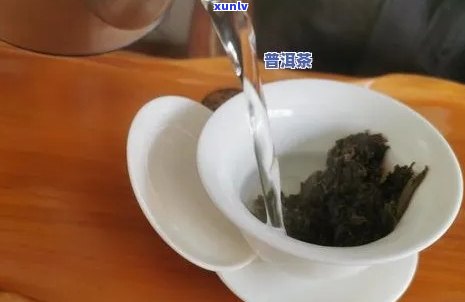 普洱生茶的泡法教程：详细步骤与初学者指南，掌握正确的水与 *** 