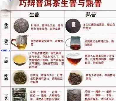 普洱生茶简介以及泡茶步骤