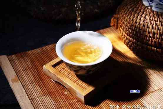 老树普洱：生茶与熟茶，哪一款更胜一筹？