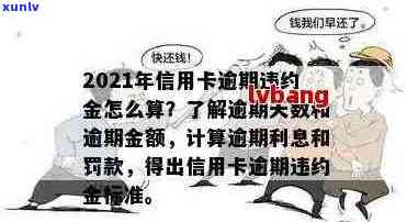 信用卡逾期了罚息多高合适：2021年逾期量刑、违约金标准与银行罚息