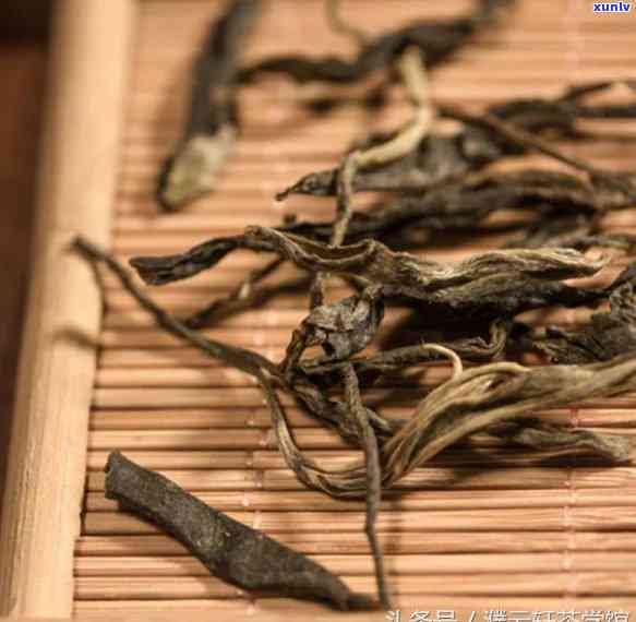 老班章村古茶树价格走势分析：稀有茶叶的高价值与市场需求