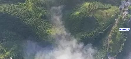 探寻天门山普洱茶的千年秘境：来自云雾缭绕的茶香传奇