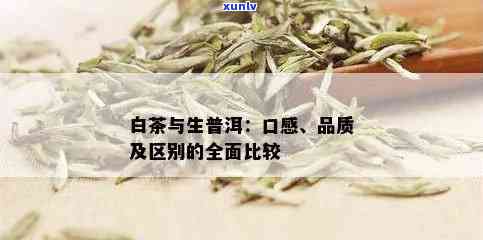 普洱白茶和生茶口感一样吗？探究普洱生茶与白茶的风味差异及哪个更适宜饮用