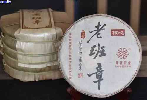 老班章茶厂直销：古树普洱茶珍品，感受茶中台的魅力