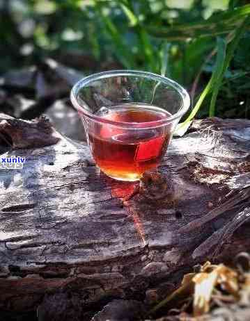 普洱熟茶清凉感：生茶与熟茶的凉性及寒凉探讨