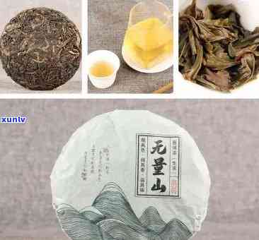 无量山生普洱古树茶100克价格及口感简介，熟茶特色与品质评价