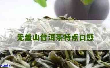 无量山普洱茶的口感特点与好喝体验-无量山普洱茶怎么样