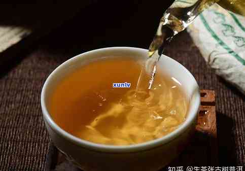 普洱生茶老茶的口感描述：香气、滋味与特点