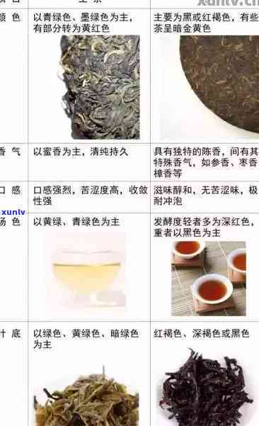 普洱生茶和熟茶口感上有何差异：风味、特点对比解析