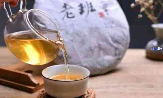 老班章珍藏品2016年：岁月沉香，茶艺非凡