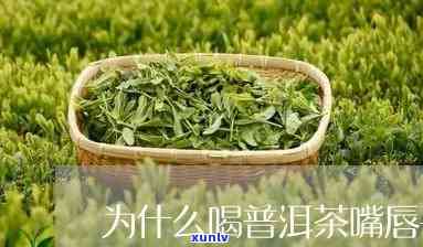 喝普洱茶嘴唇干裂原因及解决办法