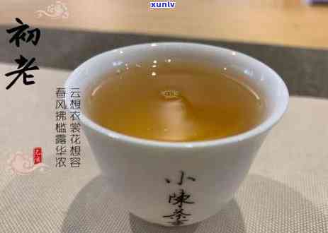 普洱生茶喝完嘴唇干-普洱茶喝了嘴唇干