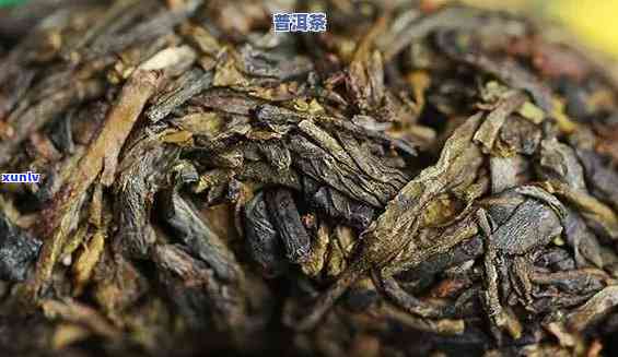 普洱熟茶与生茶价格对比：谁更珍贵？