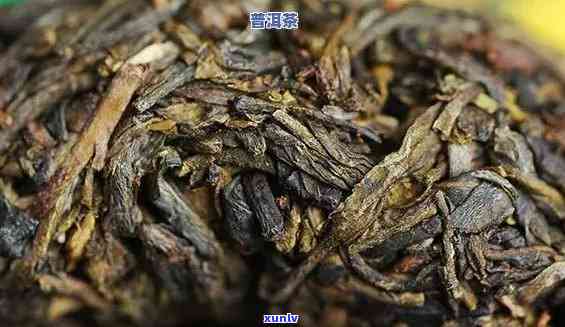 普洱茶生茶与熟茶价格对比：哪个更昂贵？