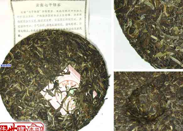 兴海茶老班章2020年：品质越，珍贵收藏