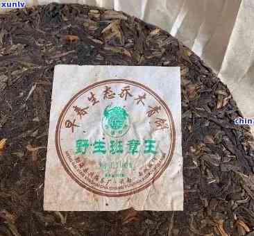 2006年兴海班章老树生态木熟茶古树王真伪鉴别