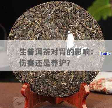 普洱生茶对胃有好处吗：能喝吗？养胃还是伤胃？