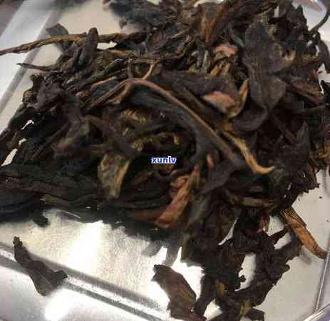 普洱生茶怎么喝有什么讲究：泡茶步骤与饮用 *** 简介