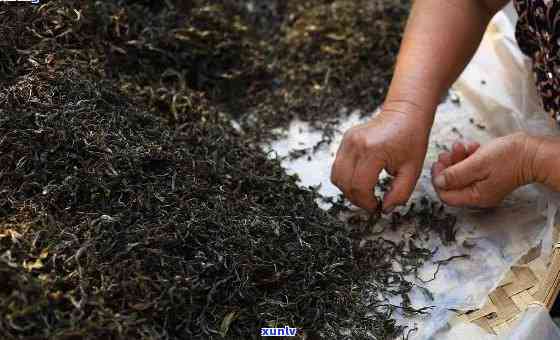 普洱生茶怎么弄成熟茶： *** 过程与提升香气技巧