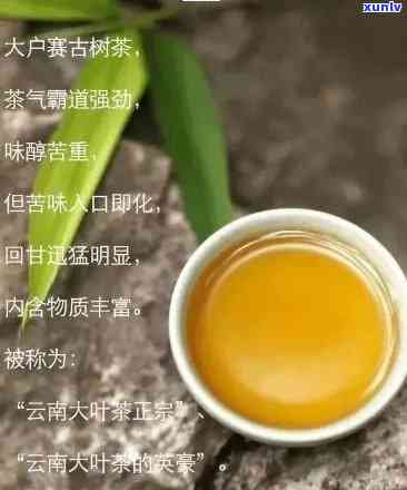 探究下关普洱茶的独特风味与品质