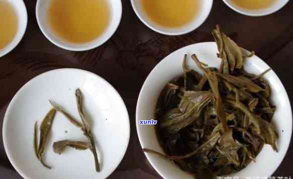 普洱生茶茶色是怎样的：色泽、茶色及优劣辨别