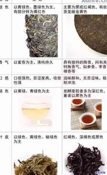 普洱生茶与熟茶口感大比拼：哪个更适合你的口味？