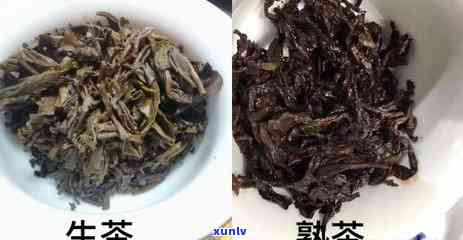 普洱茶熟茶生茶哪个好：口感、品质对比分析