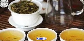 中茶普洱生茶哪个系列好喝：综合比较优质选择