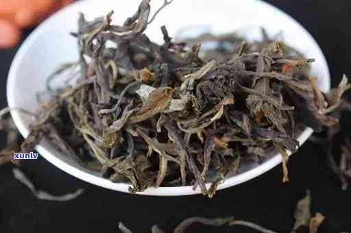 老班章熟茶介绍：古树茶源、工艺特点与品饮体验