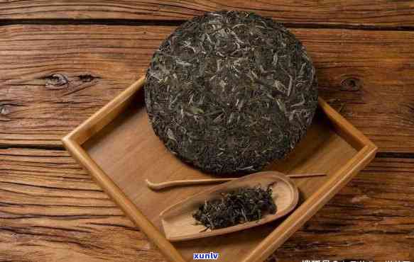 普洱茶生茶茶饼怎么冲泡好喝？掌握技巧提升品饮体验