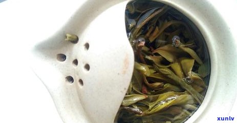 糯香普洱生茶怎样喝效果好：优化品饮技巧