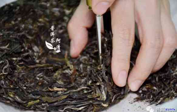 普洱生茶几年开始喝好：品鉴优化时光点