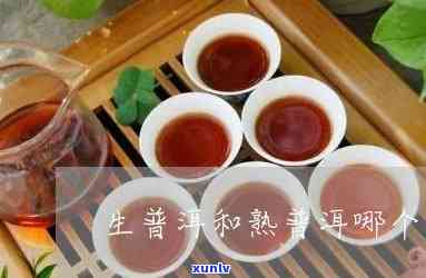 生熟普洱茶混合喝：好吗？会上火吗？