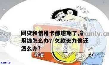 正规网贷信用卡逾期会有何后果处理方式