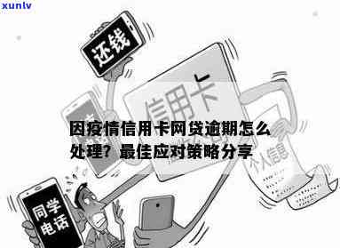 信用卡网贷逾期应对策略及后果咨询