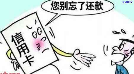 经营范围信用卡逾期怎么办手续