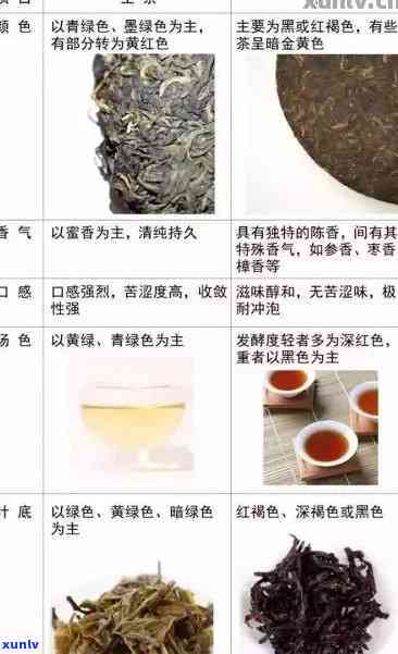 如何品普洱茶生茶:从生茶散茶到熟茶口感品鉴