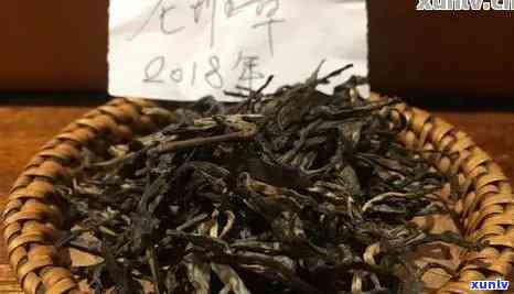 普洱大树生茶的价格及泡法解析：探秘大树茶价位