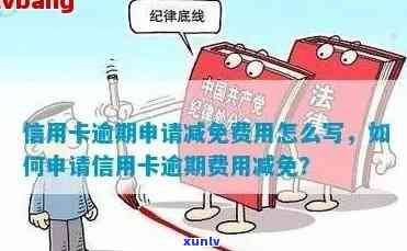 信用卡逾期怎么查减免