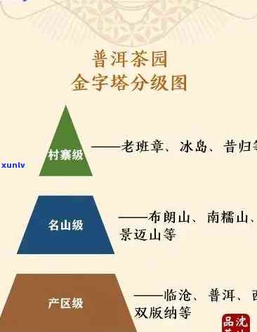 普洱生茶分几个产区：品种、及产区区别