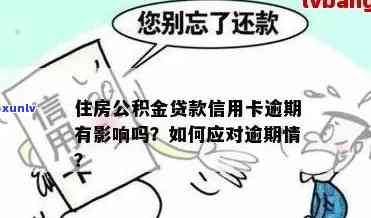 欠信用卡逾期无力偿还该怎么办？官网投诉指南