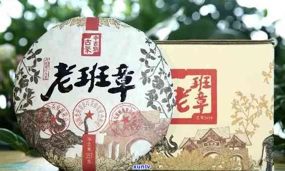 探寻菏泽老班章厂家 *** 地址，优质茶品轻松购