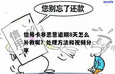 公证信用卡非恶意逾期处理 *** 与注意事项