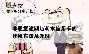 公证信用卡非恶意逾期处理 *** 与注意事项