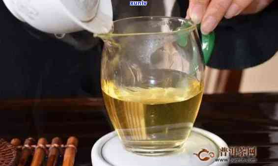 探寻老班章小树茶独特口感：醇厚回间的茶艺之旅