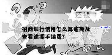 怎么查招商信用卡逾期手续费到底有多少：逾期本金与费用查询指南