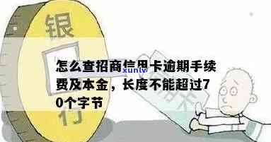 怎么查招商信用卡逾期手续费到底有多少：逾期本金与费用查询指南