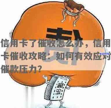 破解信用卡逾期难题：没钱催债压力下如何有效应对？