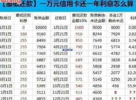 信用卡逾期5万债务解决方案：了解所需还款金额及利息