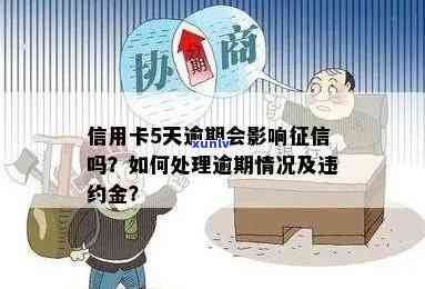 信用卡逾期5万面临天价违约金，持卡人应注意什么？